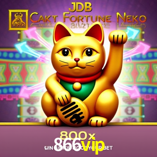 Interface Premium 866vip